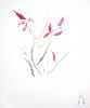 Artwork: Chinese Flowers (Water color (chinese brushes)<br>8½
